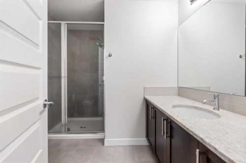 29 Saddlestone Link Ne, Calgary, AB - Indoor Photo Showing Bathroom