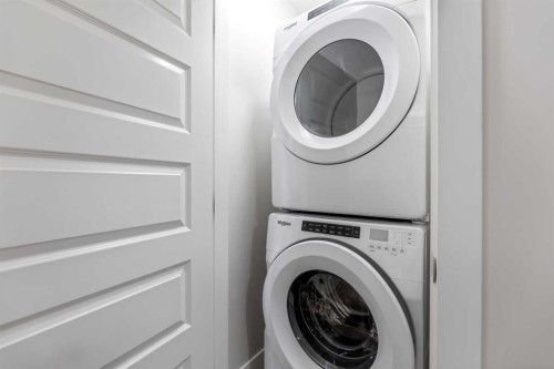 29 Saddlestone Link Ne, Calgary, AB - Indoor Photo Showing Laundry Room