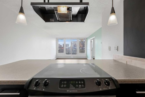 104-505 19 Avenue Sw, Calgary, AB - Indoor Photo Showing Kitchen