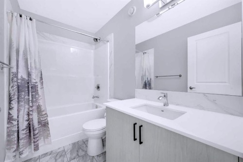154 Silver Spruce Grove Sw, Calgary, AB - Indoor Photo Showing Bathroom