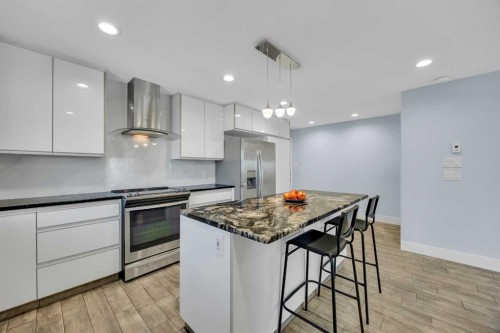 11 Selkirk Drive Sw, Calgary, AB - Indoor Photo Showing Kitchen With Stainless Steel Kitchen With Upgraded Kitchen
