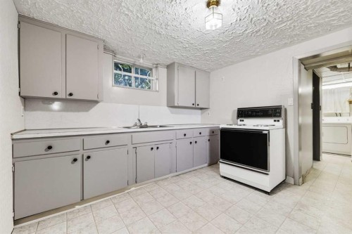 1048 39 Avenue Nw, Calgary, AB - Indoor Photo Showing Kitchen With Double Sink