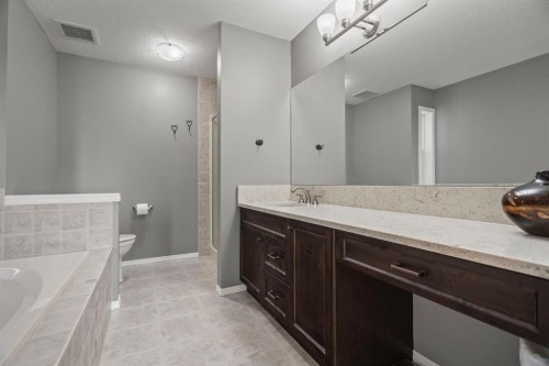 110 Brightonwoods Green Se, Calgary, AB - Indoor Photo Showing Bathroom
