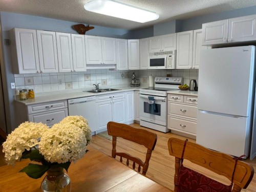 405-1881 17 Street, Didsbury, AB - Indoor Photo Showing Kitchen With Double Sink