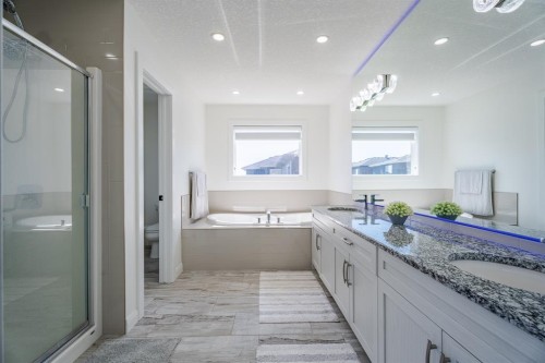 248 Sandpiper Boulevard, Chestermere, AB - Indoor Photo Showing Bathroom