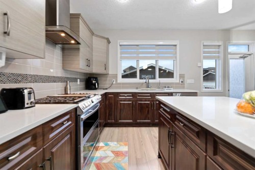 131 Redstone Boulevard Ne, Calgary, AB - Indoor Photo Showing Kitchen With Upgraded Kitchen