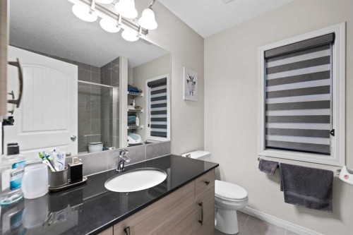 131 Redstone Boulevard Ne, Calgary, AB - Indoor Photo Showing Bathroom