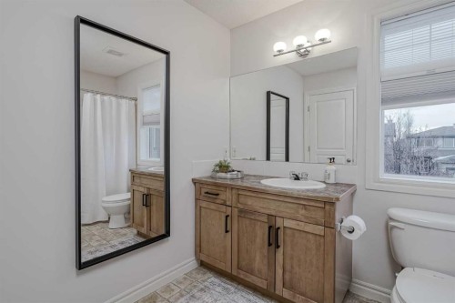230 Sagewood Grove Sw, Airdrie, AB - Indoor Photo Showing Bathroom