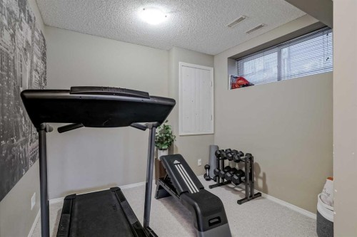 230 Sagewood Grove Sw, Airdrie, AB - Indoor Photo Showing Gym Room