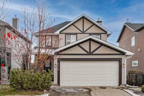 230 Sagewood Grove Sw, Airdrie, AB - Outdoor