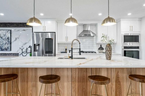 439 Woodland Crescent Se, Calgary, AB - Indoor Photo Showing Kitchen With Upgraded Kitchen