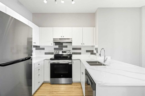 1414-1140 Taradale Drive Ne, Calgary, AB - Indoor Photo Showing Kitchen With Double Sink