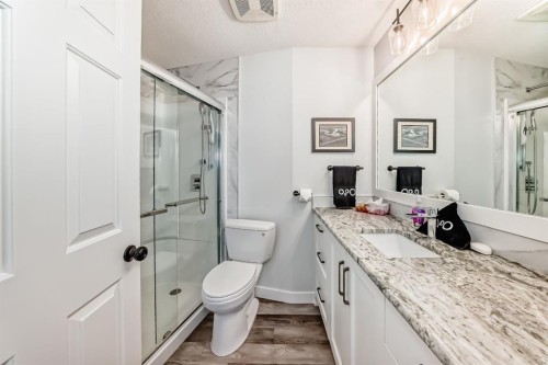 741 Sandringham Place Nw, Calgary, AB - Indoor Photo Showing Bathroom