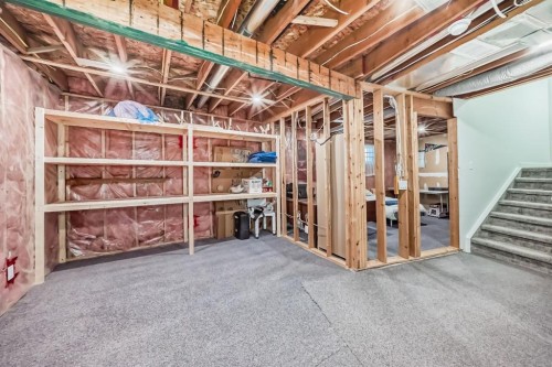 741 Sandringham Place Nw, Calgary, AB - Indoor Photo Showing Basement