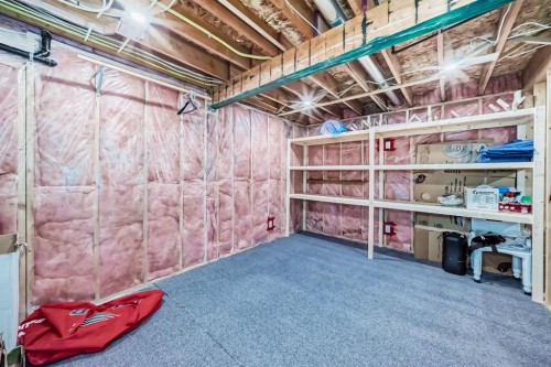 741 Sandringham Place Nw, Calgary, AB - Indoor Photo Showing Basement