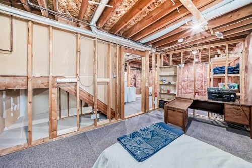 741 Sandringham Place Nw, Calgary, AB - Indoor Photo Showing Basement