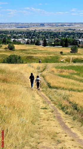 741 Sandringham Place Nw, Calgary, AB - Outdoor With View
