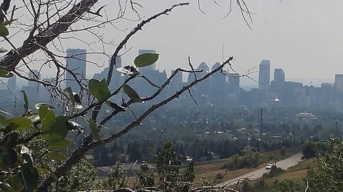 741 Sandringham Place Nw, Calgary, AB -  With View