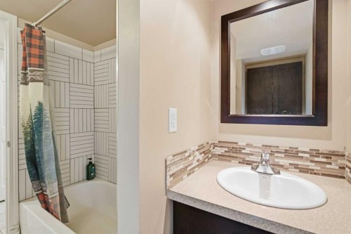 3943 Whitehorn Drive Ne, Calgary, AB - Indoor Photo Showing Bathroom