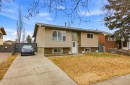 3943 Whitehorn Drive Ne, Calgary, AB  - Outdoor 
