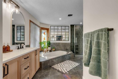 42 Douglas Woods Way Se, Calgary, AB - Indoor Photo Showing Bathroom