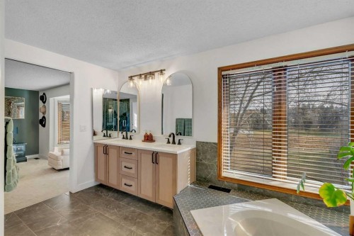 42 Douglas Woods Way Se, Calgary, AB - Indoor Photo Showing Bathroom