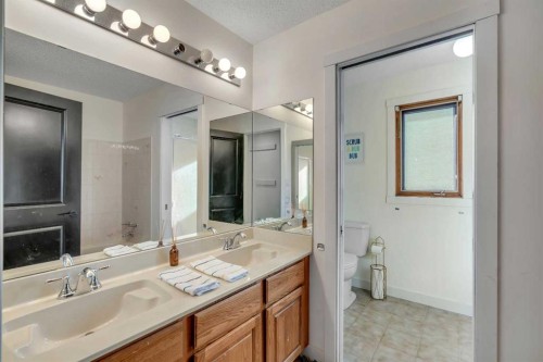 42 Douglas Woods Way Se, Calgary, AB - Indoor Photo Showing Bathroom