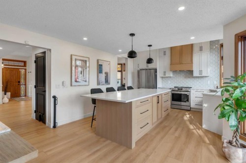 42 Douglas Woods Way Se, Calgary, AB - Indoor Photo Showing Kitchen With Stainless Steel Kitchen With Upgraded Kitchen