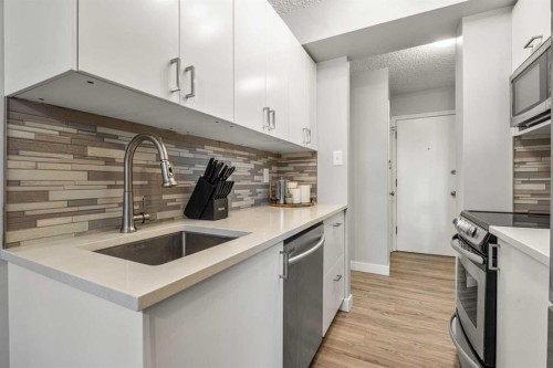 101-313 20 Avenue Sw, Calgary, AB - Indoor Photo Showing Kitchen