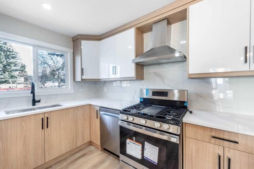 1736 41 Street Ne, Calgary, AB - Indoor Photo Showing Kitchen With Double Sink