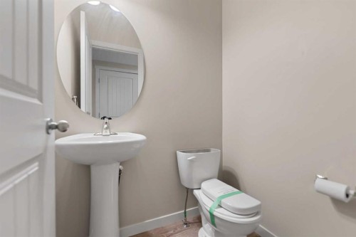 81 Copperpond Landing Se, Calgary, AB - Indoor Photo Showing Bathroom