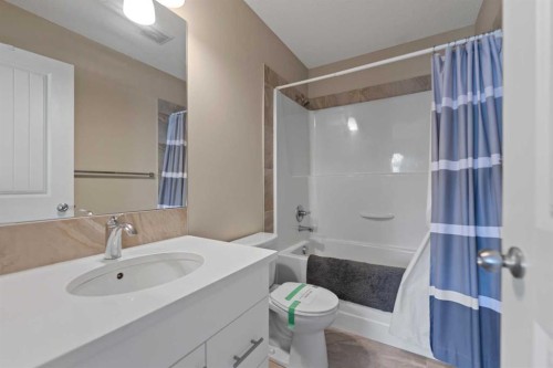 81 Copperpond Landing Se, Calgary, AB - Indoor Photo Showing Bathroom