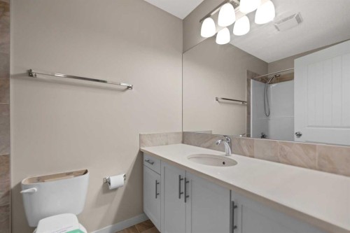 81 Copperpond Landing Se, Calgary, AB - Indoor Photo Showing Bathroom