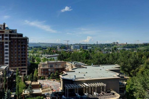 1102D-500 Eau Claire Avenue Sw, Calgary, AB - Outdoor With View