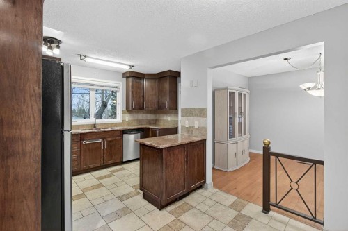 5020 Nemiskam Road Nw, Calgary, AB - Indoor Photo Showing Kitchen With Double Sink