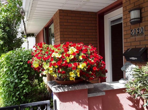 5020 Nemiskam Road Nw, Calgary, AB - Outdoor