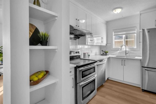57 Martinview Crescent Ne, Calgary, AB - Indoor Photo Showing Kitchen With Upgraded Kitchen