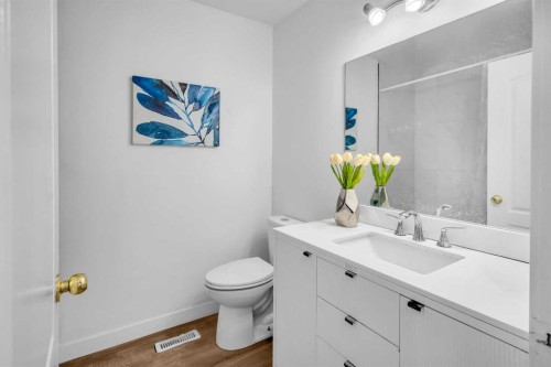 57 Martinview Crescent Ne, Calgary, AB - Indoor Photo Showing Bathroom