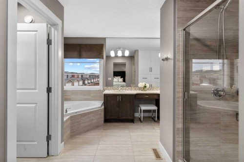 134 Cornerstone Circle Ne, Calgary, AB - Indoor Photo Showing Bathroom