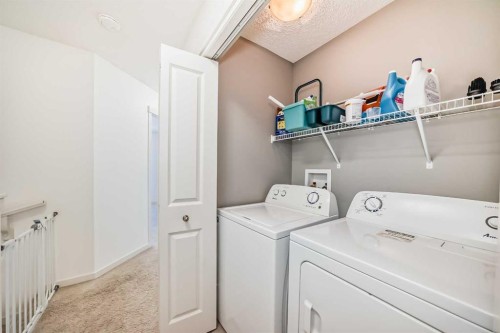 14 Autumn Crescent Se, Calgary, AB - Indoor Photo Showing Laundry Room