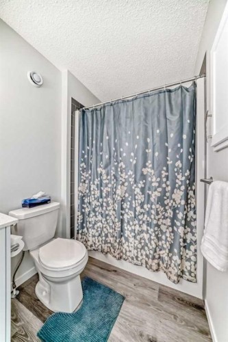 20 Creekstone Drive Sw, Calgary, AB - Indoor Photo Showing Bathroom