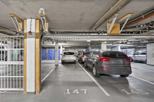 419-88 Arbour Lake Road Nw, Calgary, AB - Indoor Photo Showing Garage