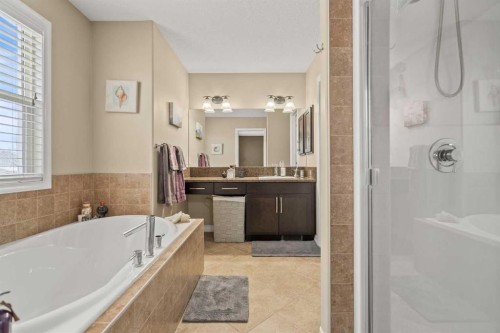 715 Copperpond Circle Se, Calgary, AB - Indoor Photo Showing Bathroom