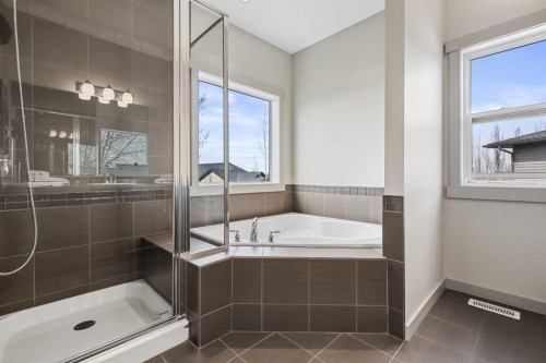 20 Walden View Se, Calgary, AB - Indoor Photo Showing Bathroom