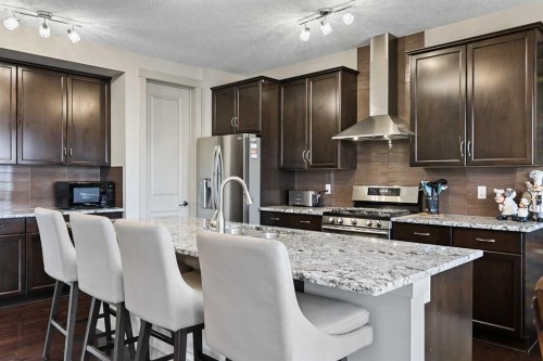 20 Walden View Se, Calgary, AB - Indoor Photo Showing Kitchen With Stainless Steel Kitchen With Upgraded Kitchen