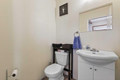 115 Castlegreen Close Ne, Calgary, AB - Indoor Photo Showing Bathroom