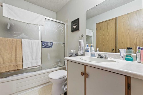 115 Castlegreen Close Ne, Calgary, AB - Indoor Photo Showing Bathroom
