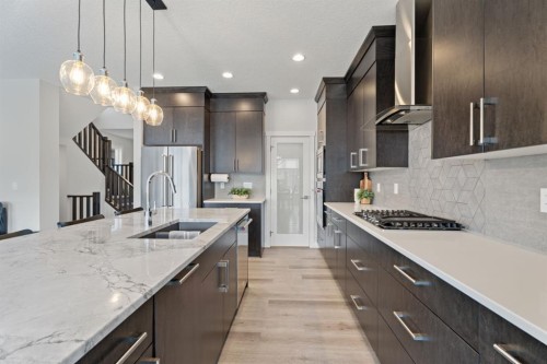 39 Cranbrook Green Se, Calgary, AB - Indoor Photo Showing Kitchen With Double Sink With Upgraded Kitchen