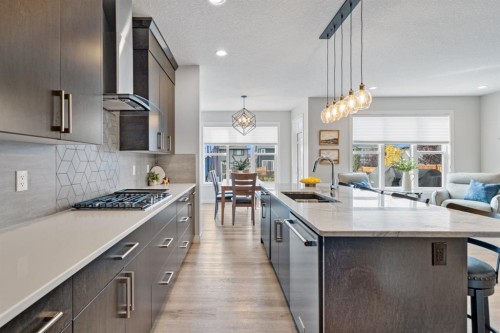 39 Cranbrook Green Se, Calgary, AB - Indoor Photo Showing Kitchen With Upgraded Kitchen