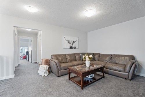 39 Cranbrook Green Se, Calgary, AB - Indoor Photo Showing Living Room